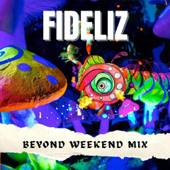 Fideliz - Beyond Weekend Mix 2024