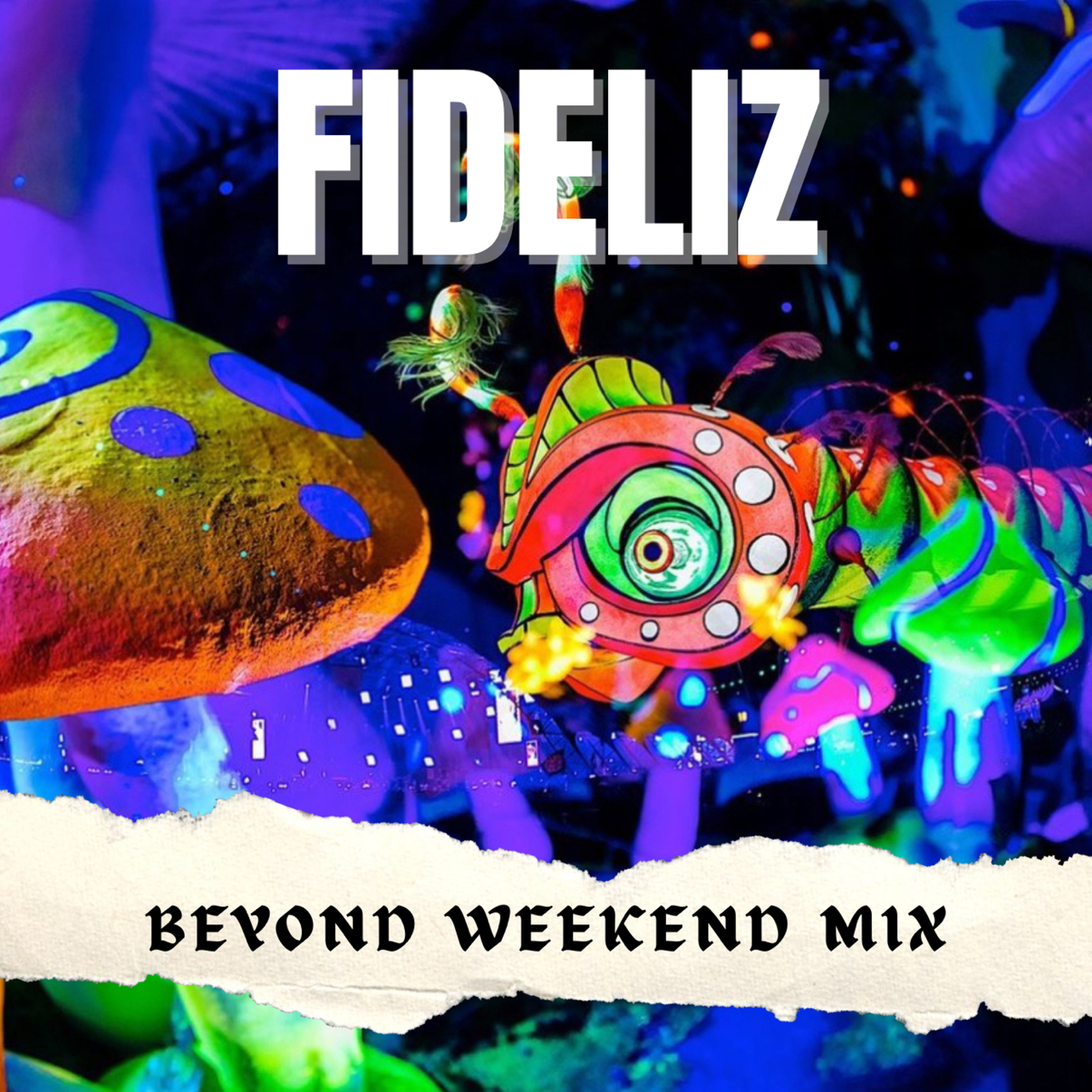 FIDELIZ ▲