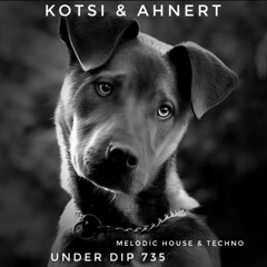 Kotsy & Ahnert UNDER DIP Ep. 735 Melodic House & Techno 123 bpm
