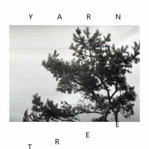 Yarn - Ty  (single Version)