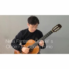 Gabriel's Oboe - Nella Fantasia ('Mission' ost-Ennio Morricone) - Woojeong