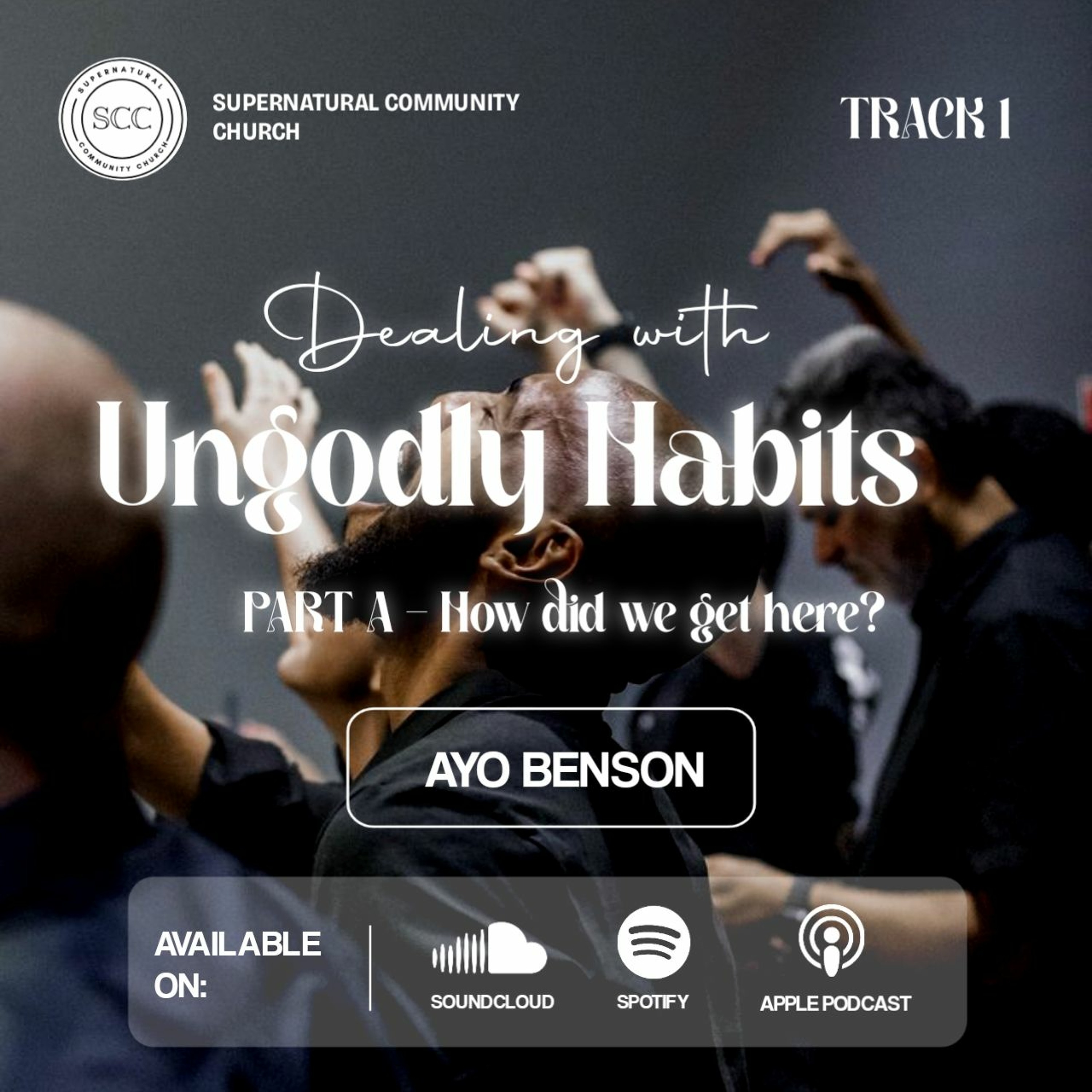 Dealing With Ungodly Habits (1)