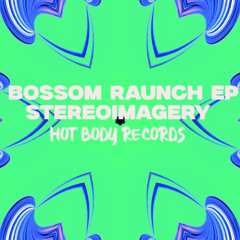 Stereoimagery - Beer Slut (feat. Sass Charlotte)