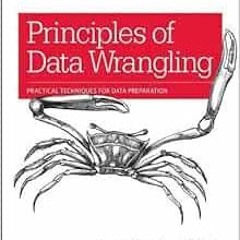 Get EBOOK 🗸 Principles of Data Wrangling: Practical Techniques for Data Preparation