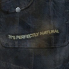 Girth Brooks - Perfectly Natural