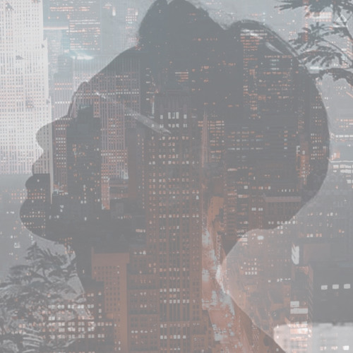 Ngàn Yêu Thương Về Đâu ( Thời Không Sai Lệch ) | Gia Luân ( Cover )