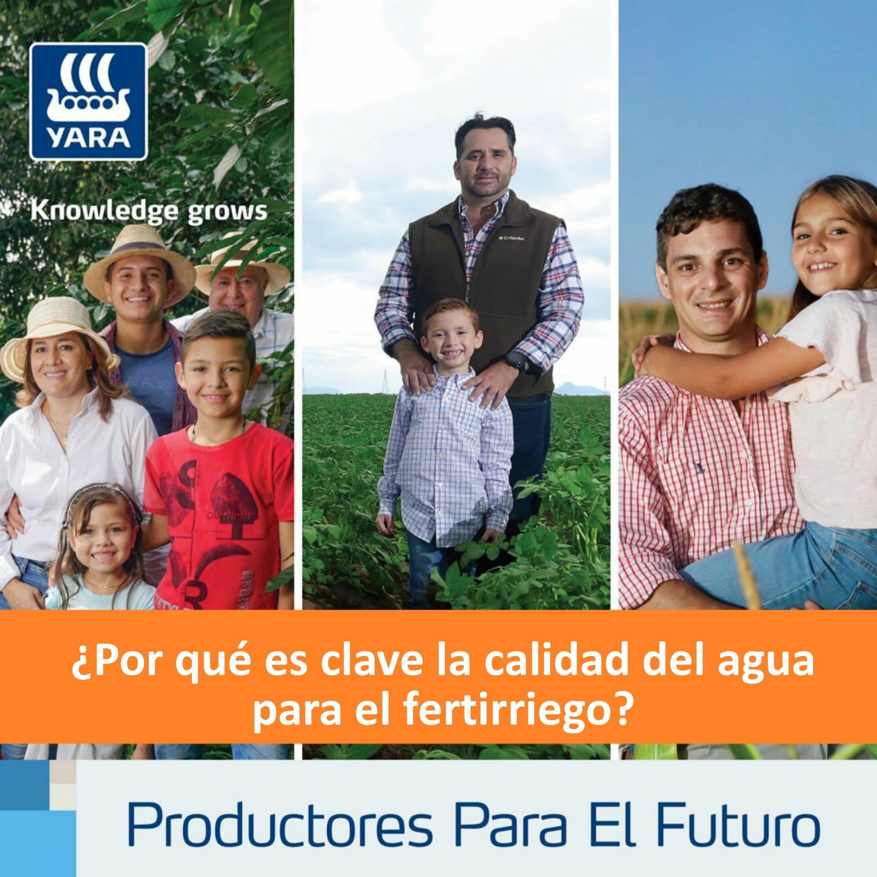 Productores Para El Futuro