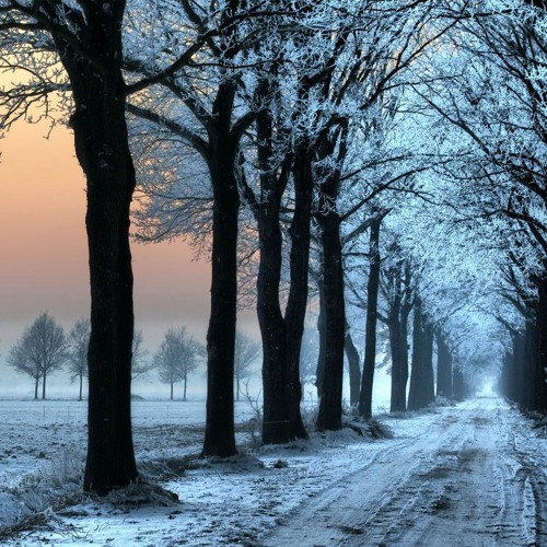 Winter's Road