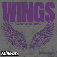 Armand Van Helden - Wings (Millean. Edit) [PREVIEW]
