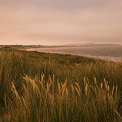 One More Light (Quarantine session)