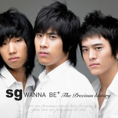 SG워너비 - 내 사람