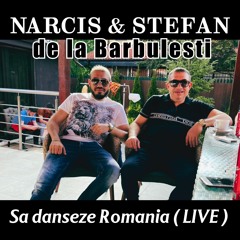 Sa danseze Romania (Live) [feat. Stefan De La Barbulesti]