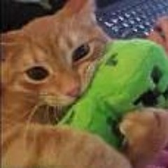 Sunday 41 C418 typebeat