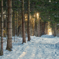 #imsorry (prod. IMMORTAL)