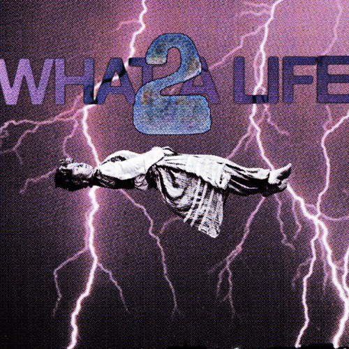 WHAT A LIFE 2