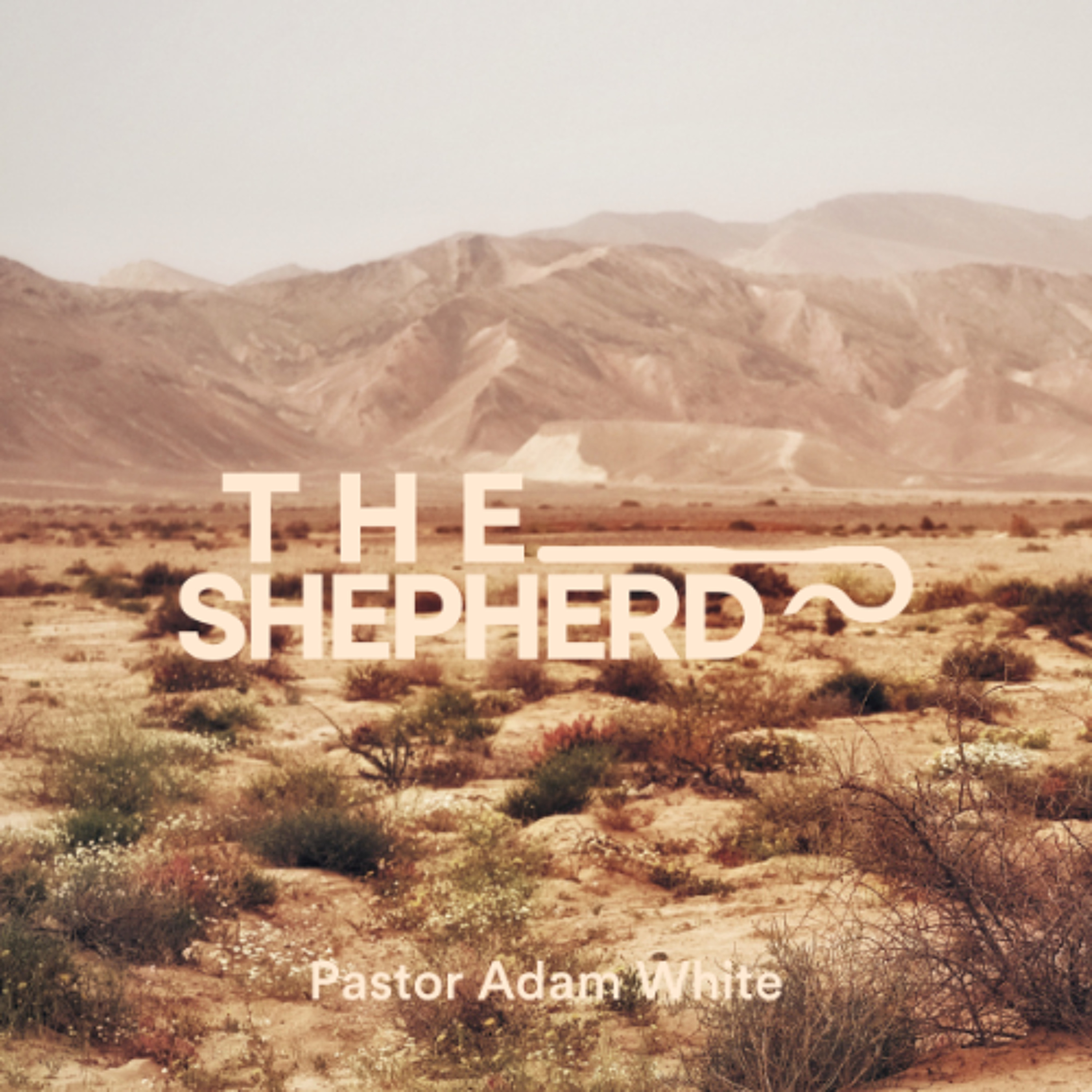 The Shepherd | Pastor Adam White