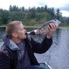 When the Rainbow Fades