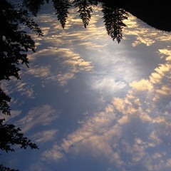 A day in the life of________________