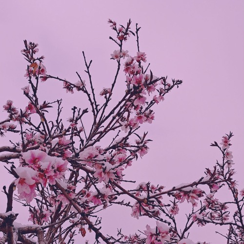 String Theory 29.3 (Winter Mix)