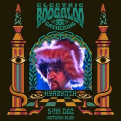 Rainbow Llama Radio #88 - Boundless | Electric Boogaloo '25 - Sat night close @ Disco (in) Tents