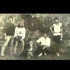 Running With The Pack