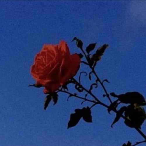 Huuu cypher-Camfrm732