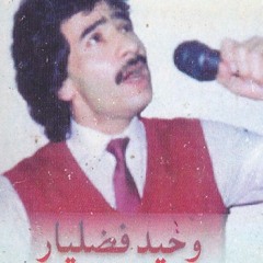 Wahid Fazelyar - Dunya Guzaran وحید فضلیار ـ دنیا گذران