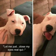 0214 - Pace Setters - 1