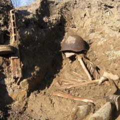 A forgotten soldier overgrown by roots - WWII excavation song