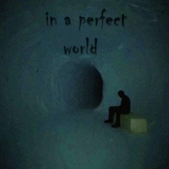 IN A PERFECT WORLD