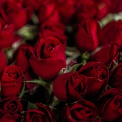 Hard Even - rose heart soul