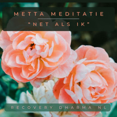 Metta Meditatie: "Net als ik..."