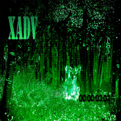 Sonar - GLUANT XADV ( prod. Benson! )