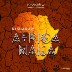 AFRICA NAIJA 2021 DJ SHADOW