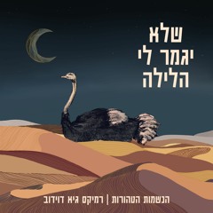 שלא יגמר לי הלילה - הנשמות הטהורות (Guy Davidov Remix)