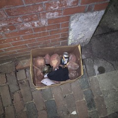 there are thing sin this box