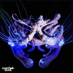 binaryh - hozho naasha (extended mix) [unreleased].m4a