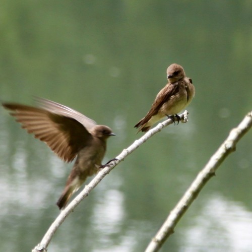 Generosity And Kindiness As An Antidote To Hopelessness And Doubt