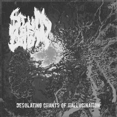Desolating Chants Of Hallucination