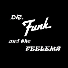 DR FUNK AND THE FEELERS