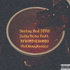 Seeing Red STFU! - Zelly Ocho + BFROMTHEBANDO + VnthxnyXavier