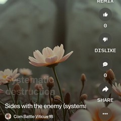 sides-with-the-enemy-(systematic-destruction-mix).mp3