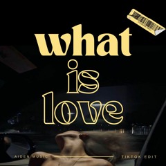 Aiden Music - What Is Love (Techno TikTok Remix)