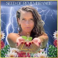 Seed Of Remembrance