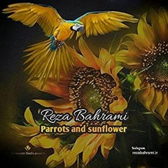 Reza Barami - Parrots and Sunflower.mp3