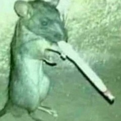 Ну Предьяви Мне За Сэмпл Который Я Купил