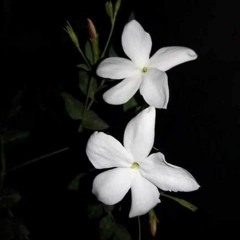 أرجوك النجاة