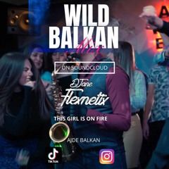 WILD BALKAN MIX (mixed by DJaneFlexnetix)