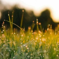 سورة الرحمن بصوت القارئ إسلام صبحي♥️