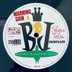 Born Jamericans - WARNING SIGN (ShaneTalon Dubplate)